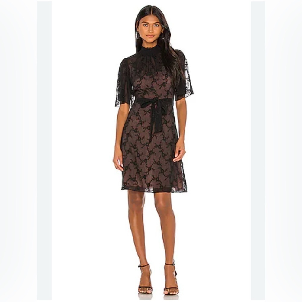 Short Sleeve Rebecca Taylor Vine Embroidery Dress in Black Combo
